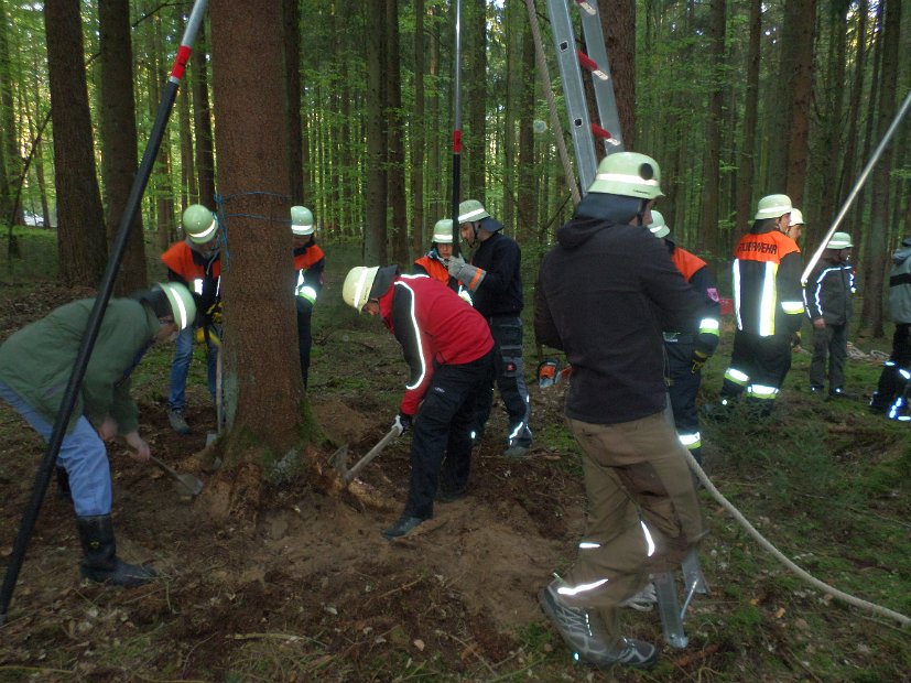 Maibaum_2016 (14)